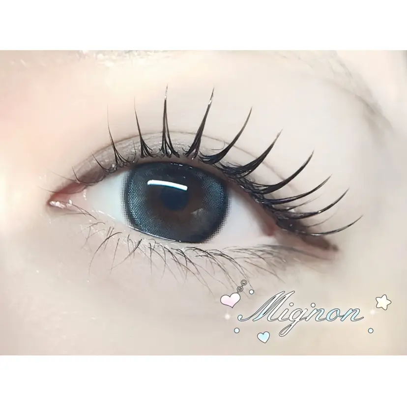 Mignon☆*:. RANの掲載