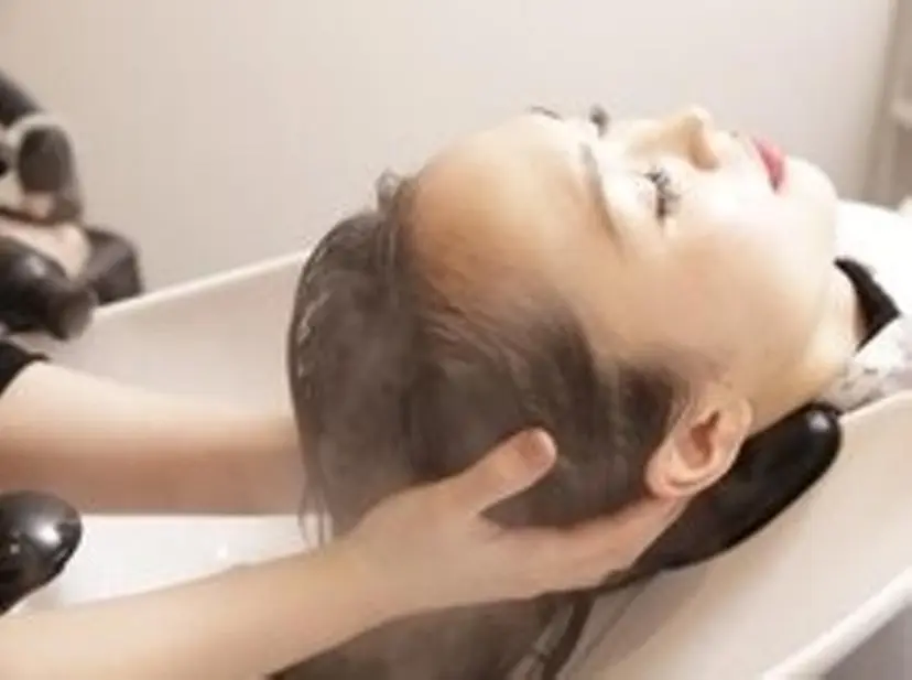 笹倉 貴等の掲載