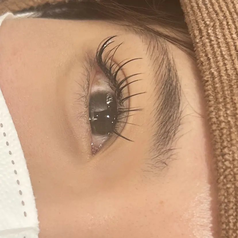 RI KOの掲載