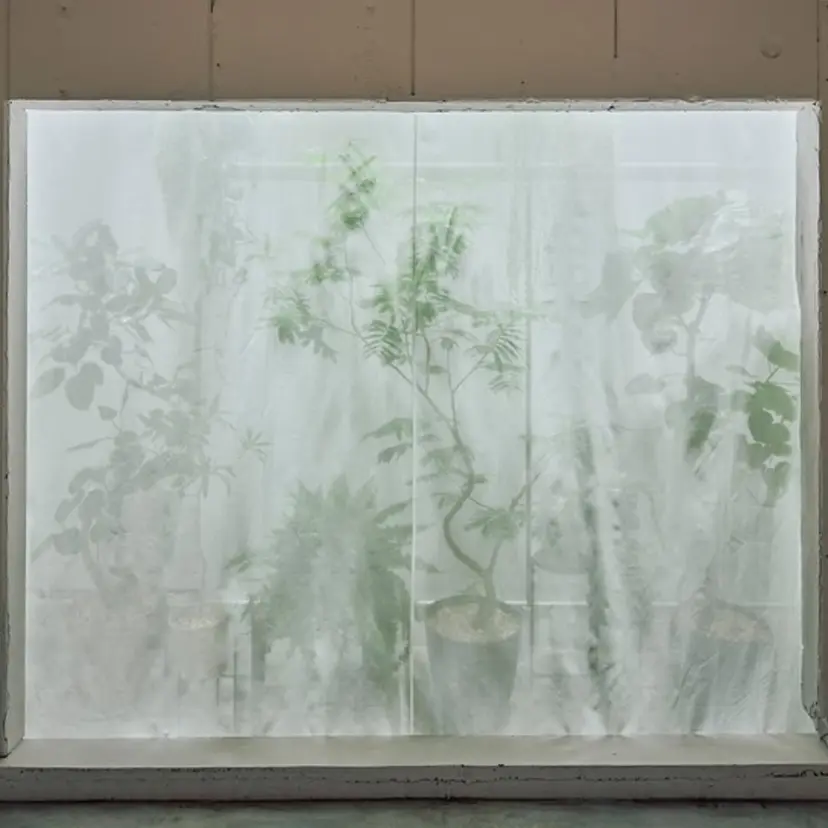 岡あかね🍐 透明感カラーの掲載