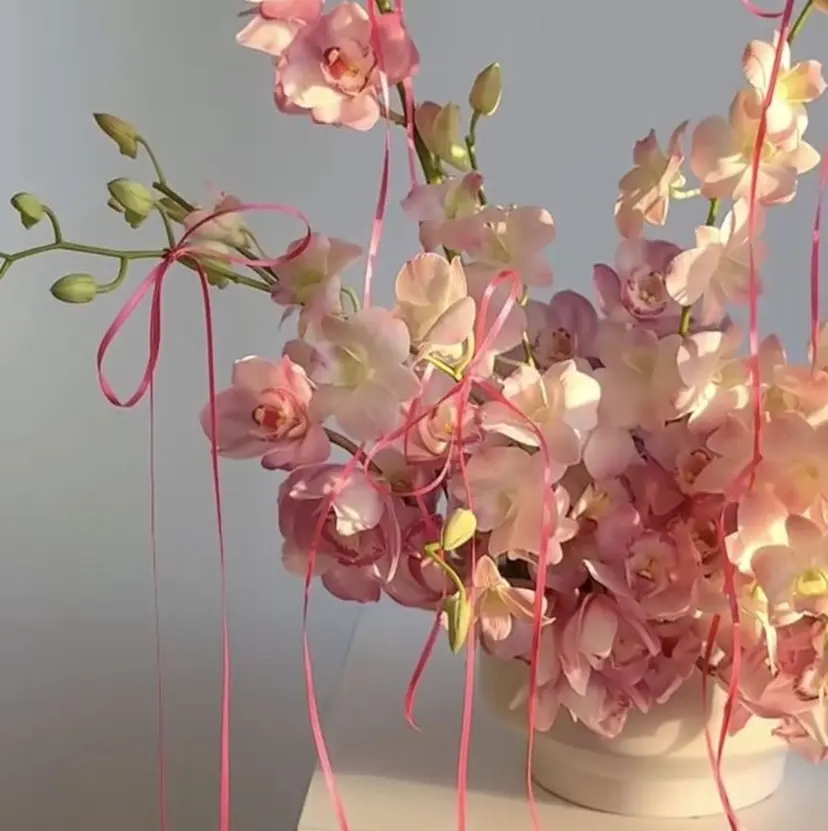 Quni ☁️の掲載