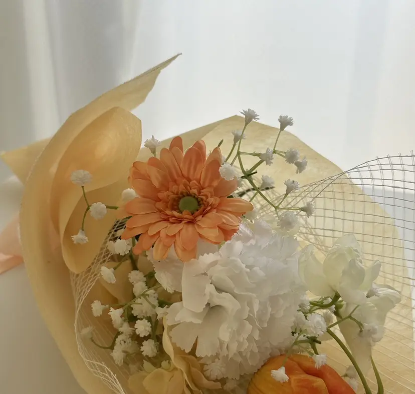 iconail AKARIの掲載