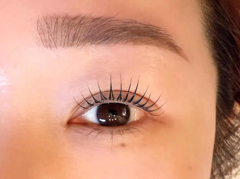 杉田 ちひろの掲載