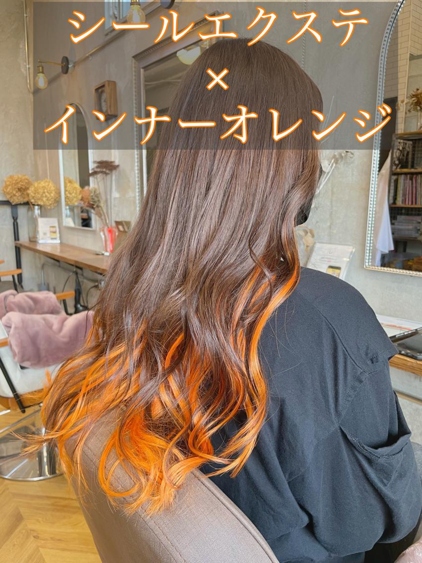 お歳暮 のし カラー＆シールエクステ80枚でインナーカラースタイル オレンジ ウィッグ・エクステ