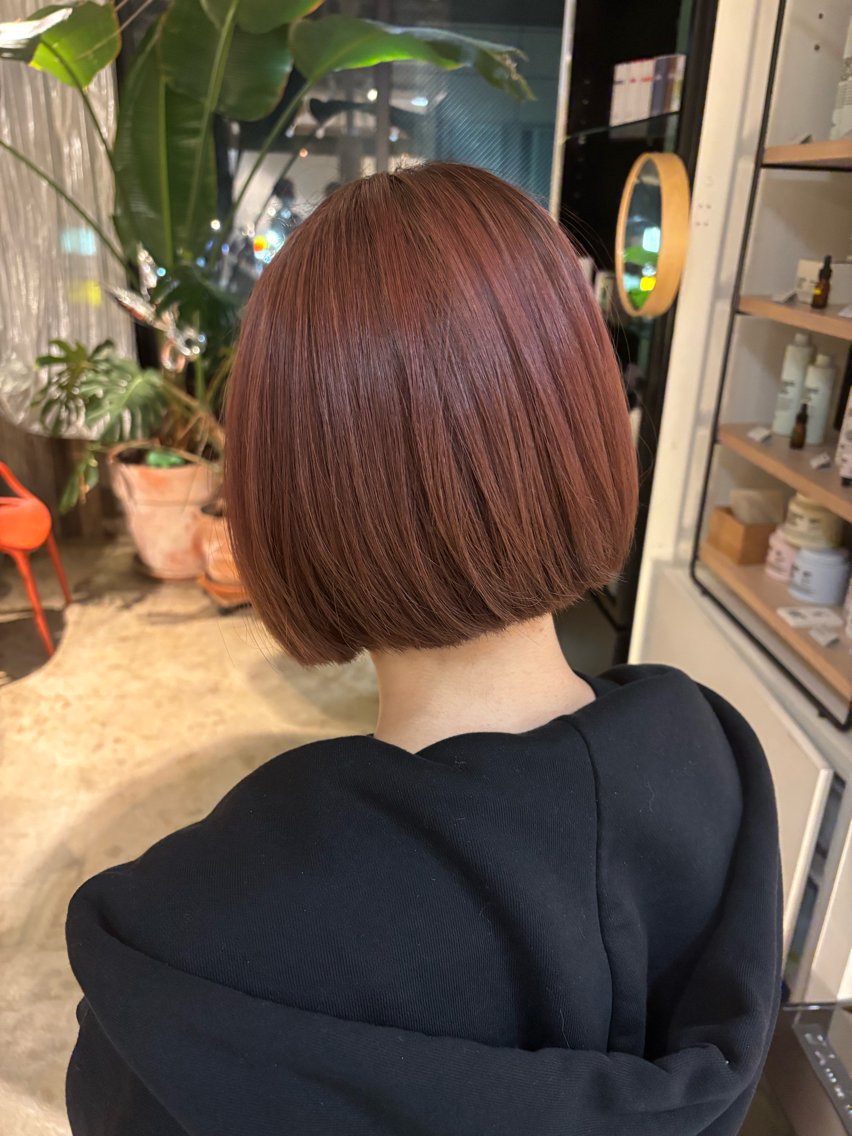 レッドカラー】2026年冬人気のレッドカラーのヘアカラー・髪型カタログ