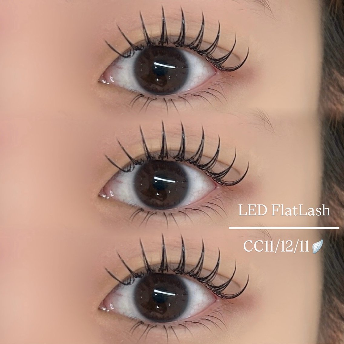 まつ マツエク・まつげパーマデザインカタログ「Flat Lash120 C9/10/11mm