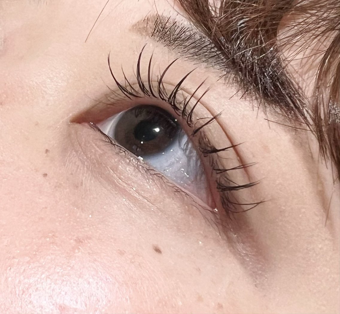 エクステ シールエクステ：L241797836｜アース オーセンティック 松山銀天