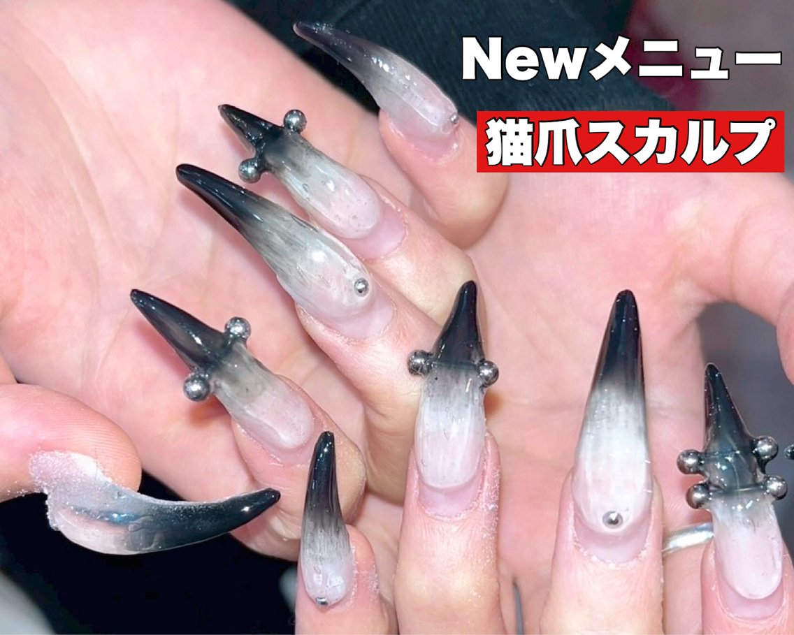 ネイリスト猫 0_58580931456a8a3abe0492283b07