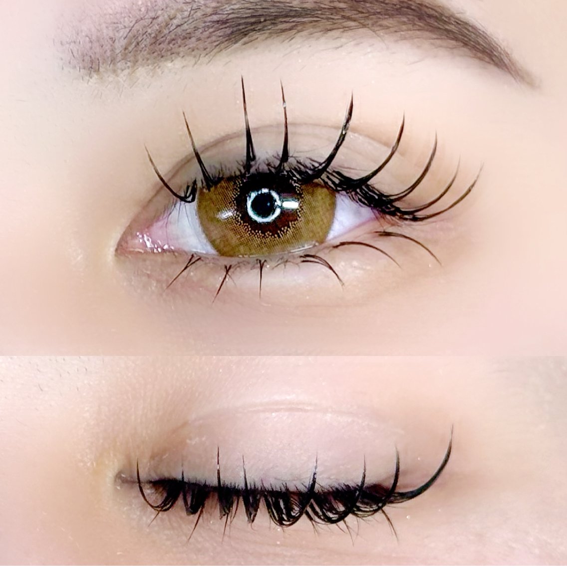 マツゲエクステ セット 商材 眉毛エクステ 下まつげエクステ 睫毛 マツゲエクステ セット 商材 眉毛エクステ 下まつげエクステ 睫毛