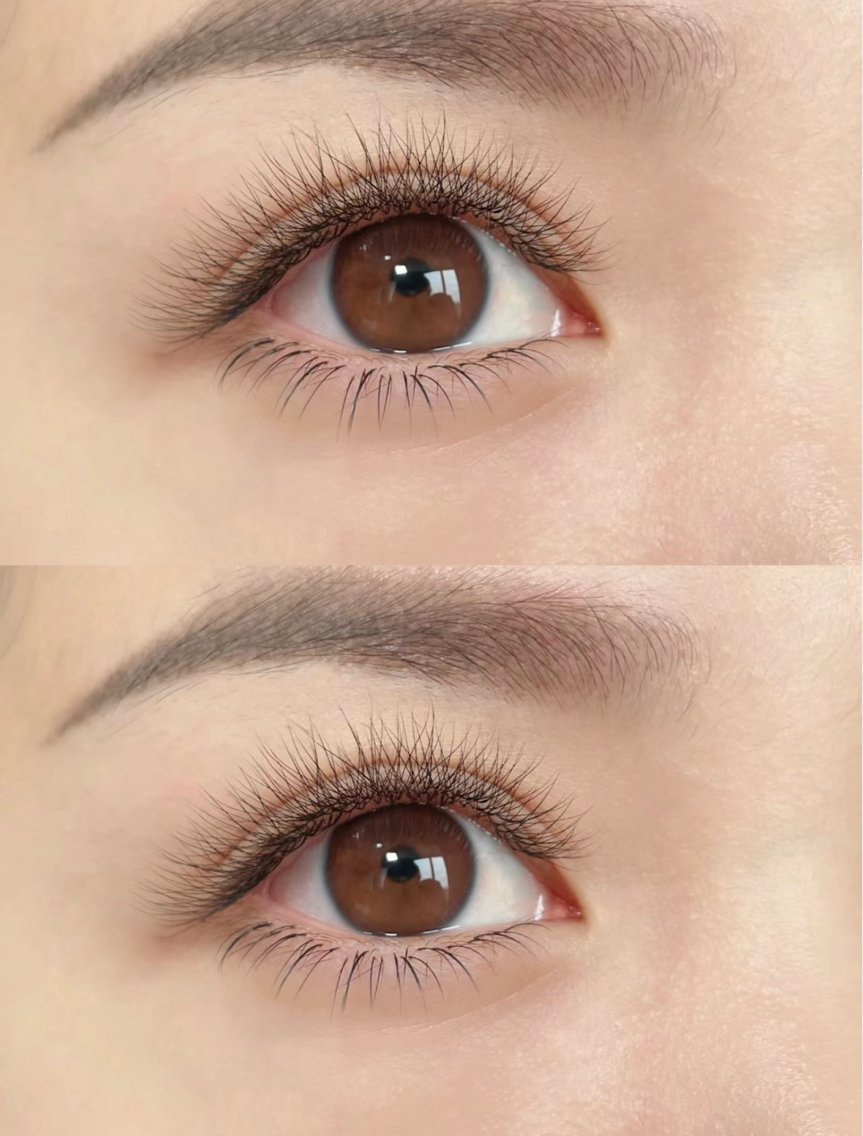 Z·Sunny Eyelash(Z・Sunny eyelash【ゼットサニーエアラシュン】所属