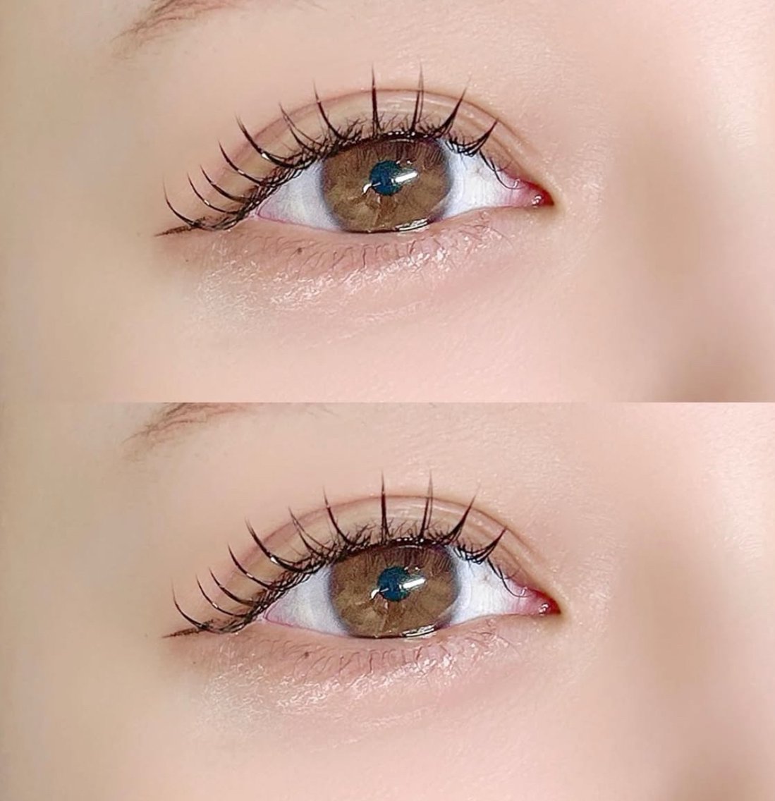 マツエク バインドロック160束 & 下マツエク60本🤍 swipe⇨リアルeye