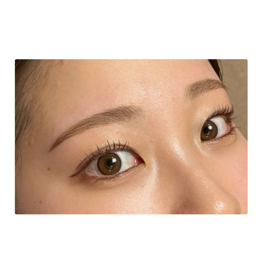 ミラノスタイルブロウリフトセット 最新アイブロウ技術 Milano Style Blowlift (ミラノスタイル