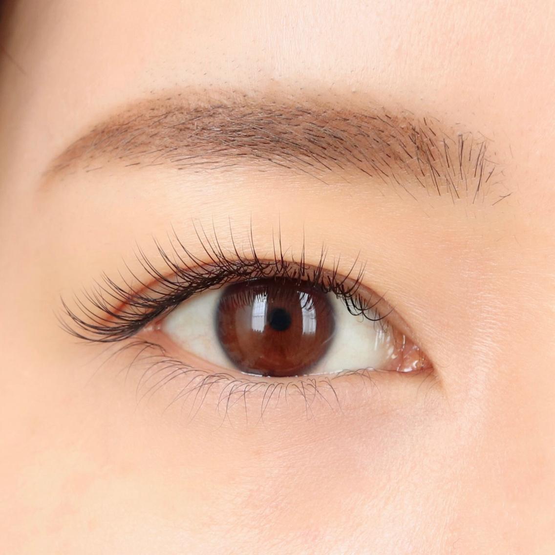 フラットラッシュ　予約ページ 新宿区 × フラットラッシュ × マツエクサロン お得に予約する