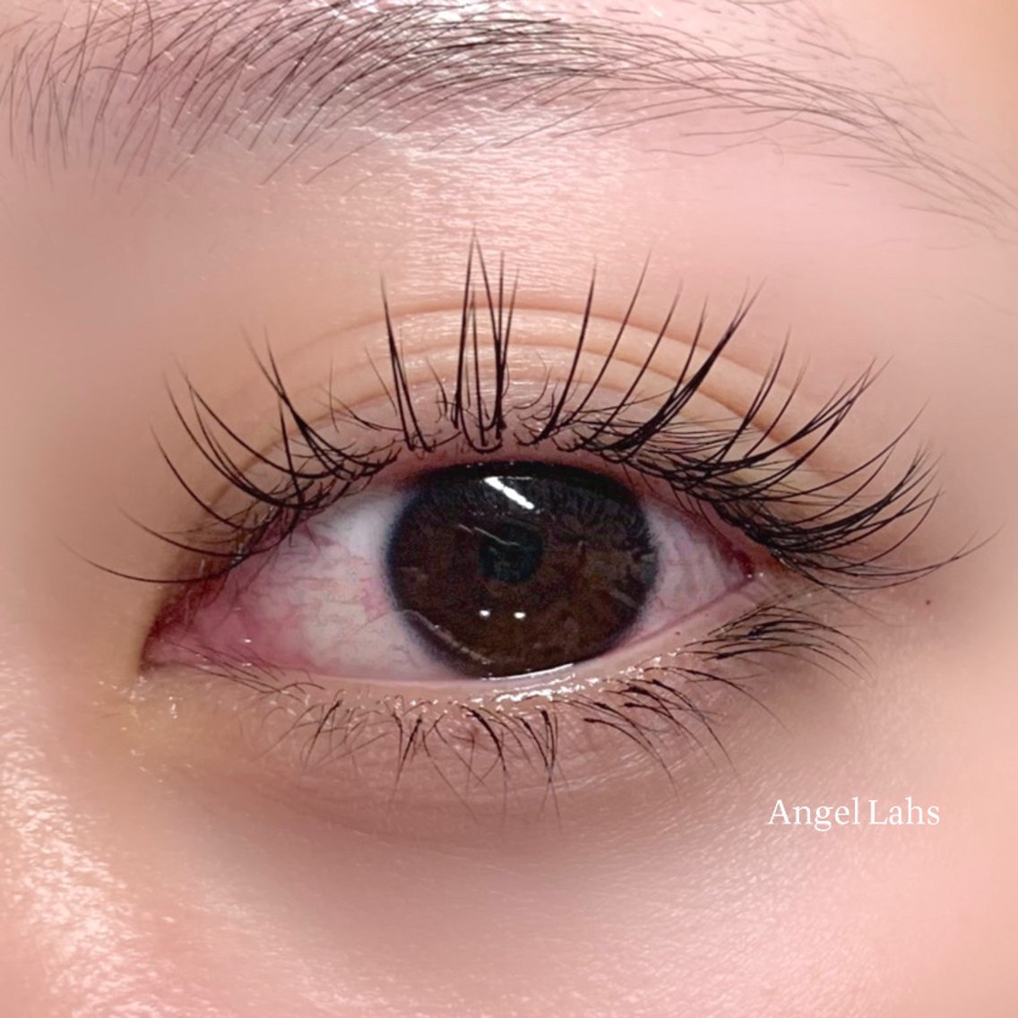 f32fb5bfe4aebc7bcd715681dbf886