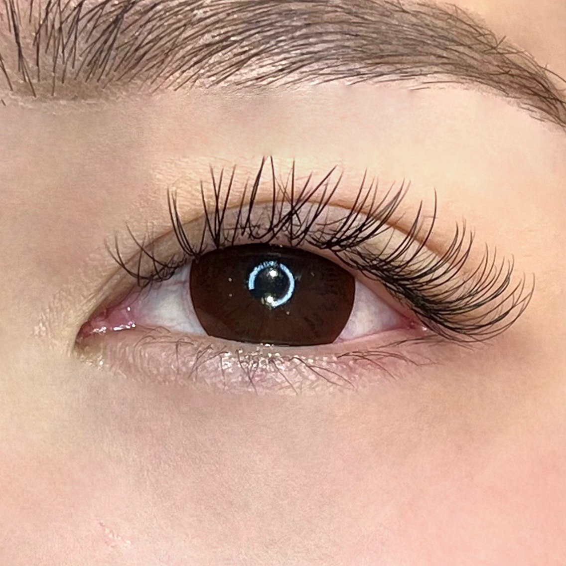 マツエク　プレミアムミンク Amazon.co.jp: 【まつげエクステ Jカール プレミアムミンク】12