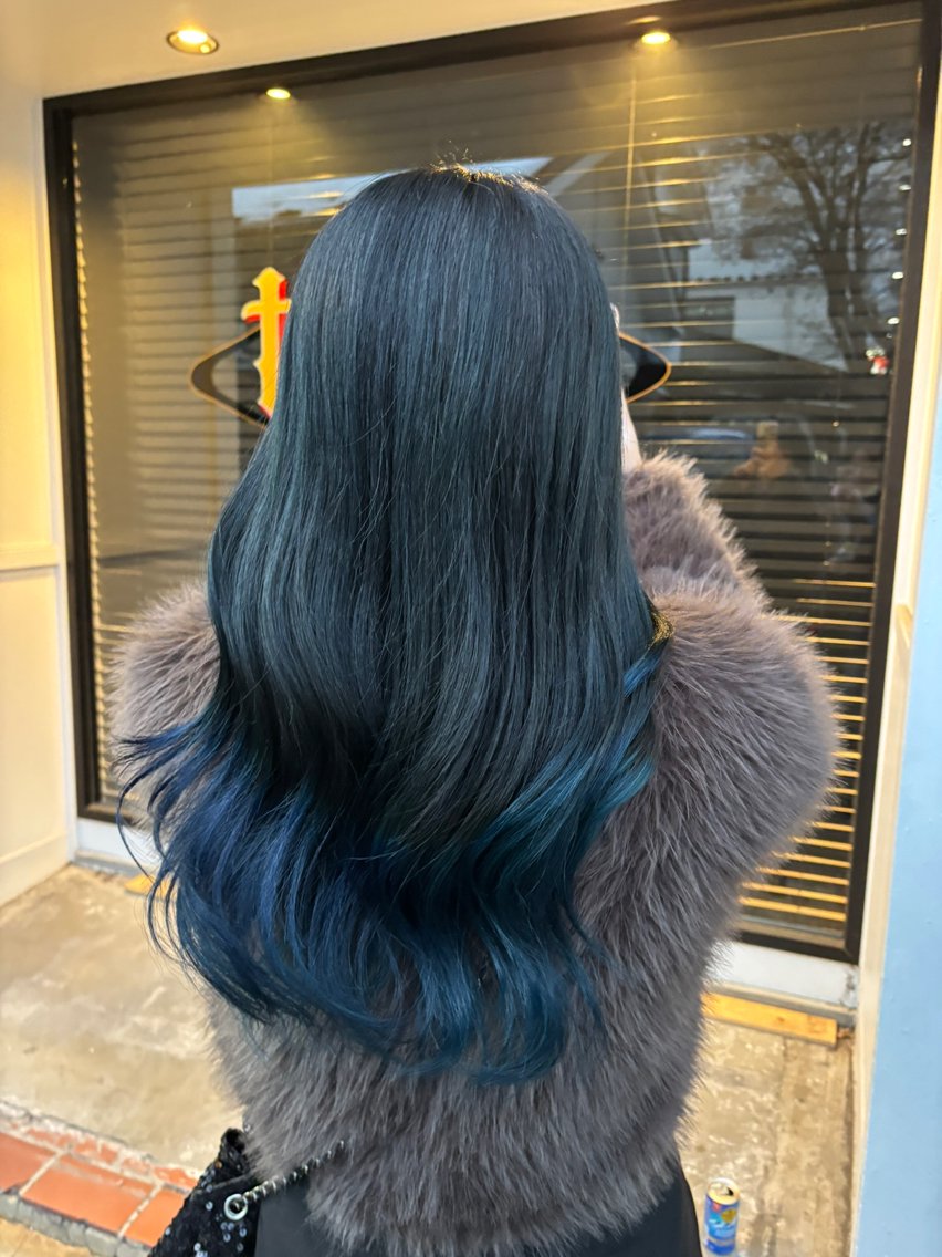 ヘアスタイル・髪型カタログ「ブルーブラック×裾カラーブルー