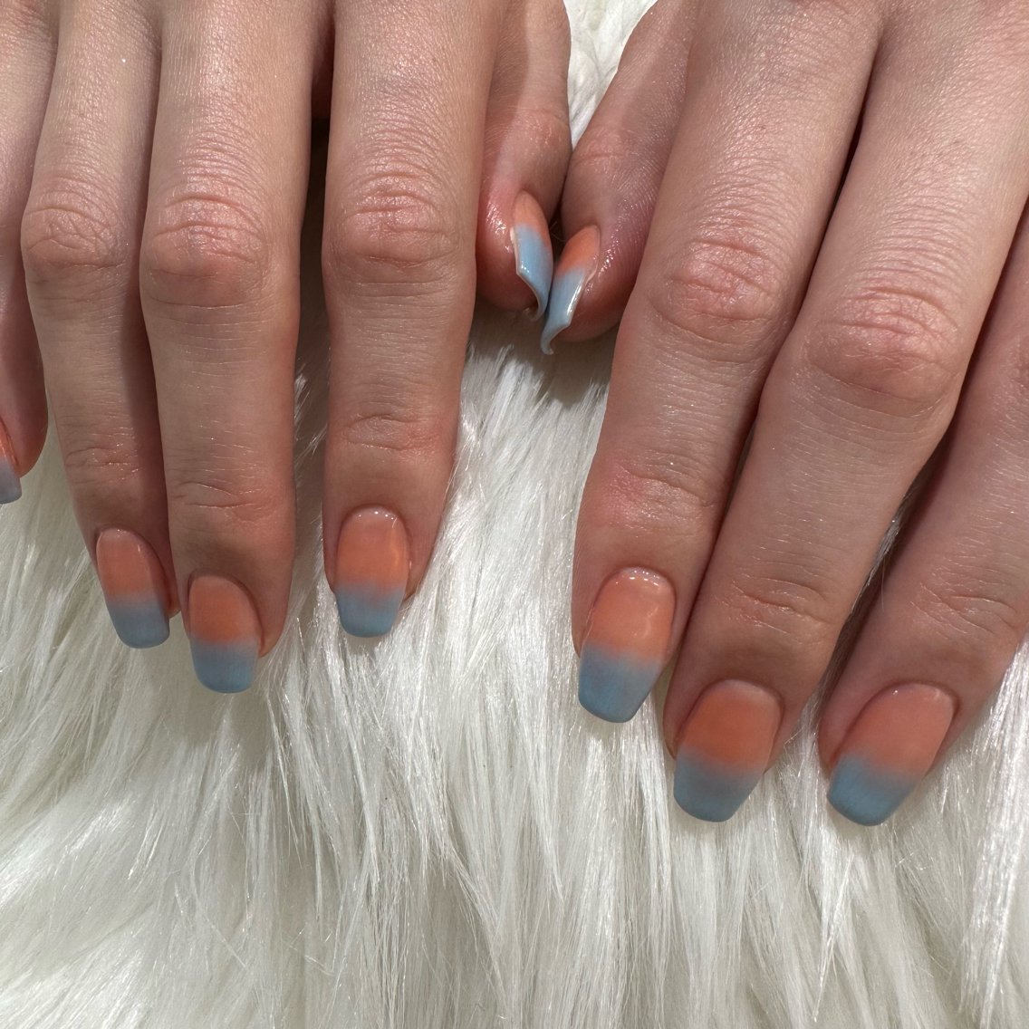 5c242c6ce66515583b914a3115b215