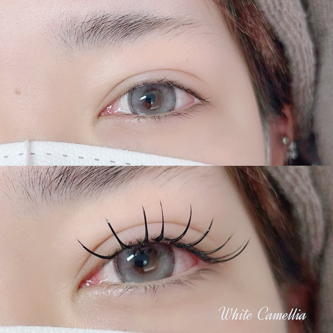 ダブルフラット140本｜韓国風束感まつ毛 Akane(White Camellia所属)の