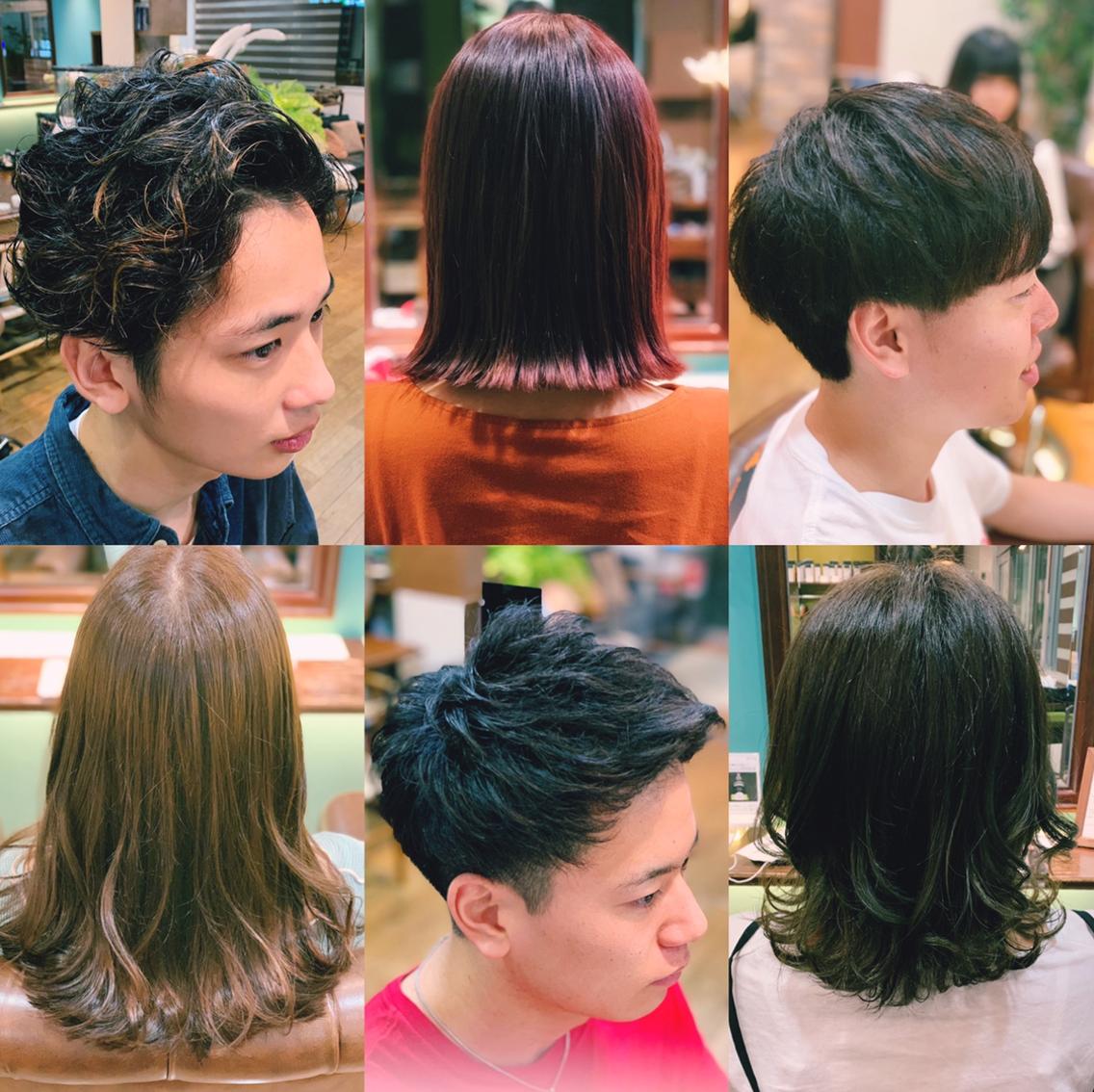 Lotus Hair Designの美容室 美容院 スタッフ情報 齋藤 桐 Minimo ミニモ