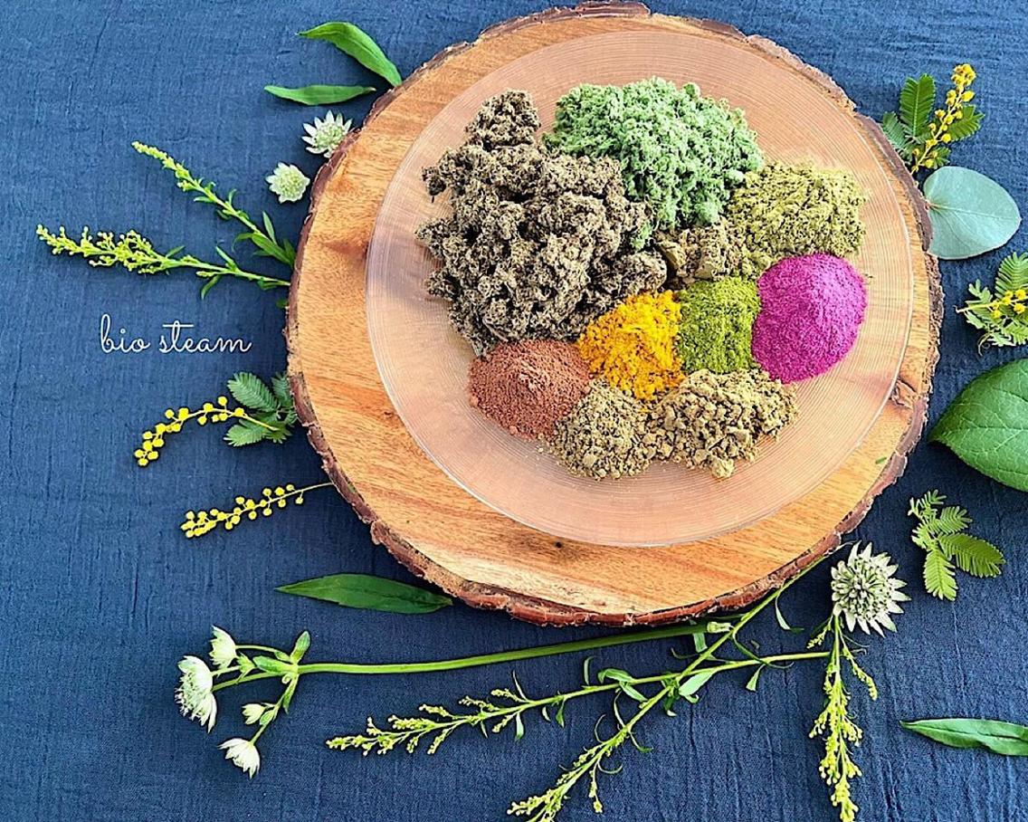 ビオスチーム よもぎもぐさ Sakurai Rieのエステ・リラクサロン・エステティシャン