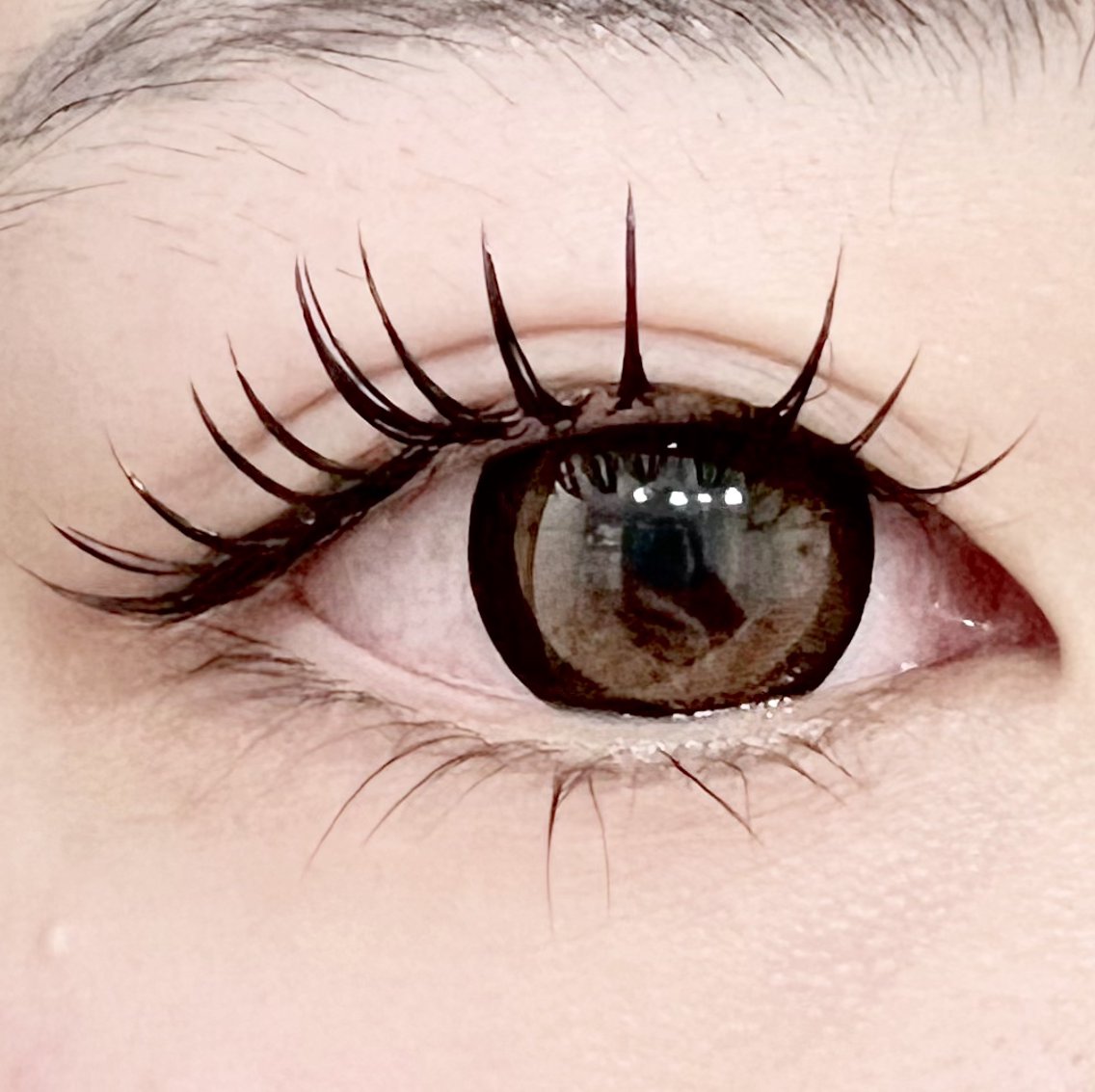 まゆげ 楽天市場】まゆげ かつら 医療用つけまゆげ 眉毛 まゆ毛 送料無料 特許