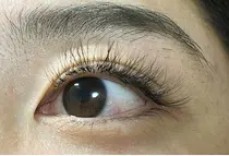 成田 鎌ヶ谷 佐倉 八千代 マツエクサロン お得に予約するなら ミニモ