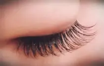 八尾 富田林 古市 松原 藤井寺 平野 マツエクつけ放題 マツエクサロン お得に予約するなら ミニモ