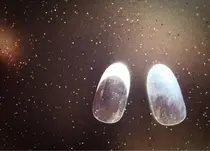 ネイルサロンrire 仙台市青葉区 のネイルサロン情報 ミニモ