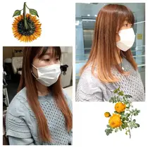 Za Za茗荷谷店 文京区 の美容室 美容院情報 ミニモ