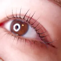 船橋市 マツエクサロン お得に予約するなら ミニモ