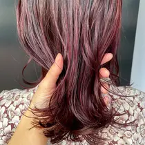 Za Za茗荷谷店 文京区 の美容室 美容院情報 ミニモ