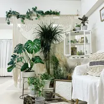 赤羽 十条 ネイルサロン お得に予約するなら ミニモ