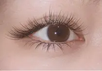 金町駅 東京 安い マツエクサロン お得に予約するなら ミニモ