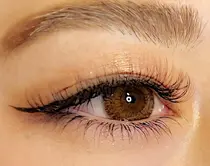 新宿駅 安い マツエクサロン お得に予約するなら ミニモ