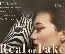 飯能 秩父 入間 マツエクサロン お得に予約するなら ミニモ