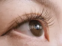 本八幡 市川 マツエクサロン お得に予約するなら ミニモ