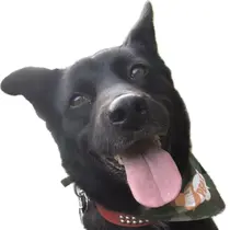 SUZUKA ☻ EYE/天王寺のプロフィール画像