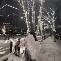 Chaton ᧔♡᧓ KIRIKOSHIのプロフィール画像