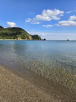 畑田 愛芽のプロフィール画像