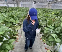 Hipahipa SAKIのプロフィール画像