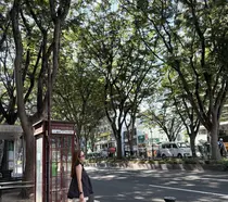 Selas まなのプロフィール画像