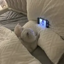 hayun MISAKIのプロフィール画像