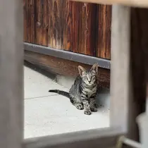 kina ネイルスクールWのプロフィール画像