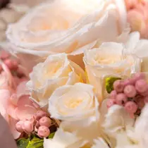 Zina船橋北口🍒 Mikuのプロフィール画像