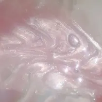 大塚 瀬奈のプロフィール画像