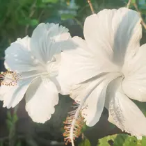 laboT nuit hikariのプロフィール画像