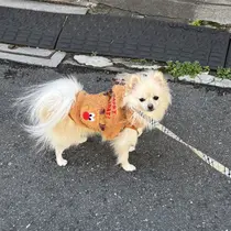 髪質改善✨艶髪✨ レイヤーカット 田畑のプロフィール画像