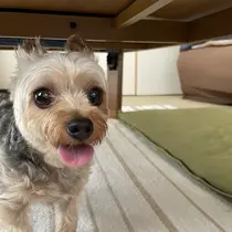 【Alice】 澁澤のプロフィール画像