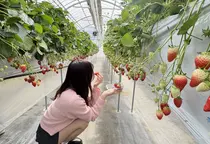 東上 瑠莉のプロフィール画像