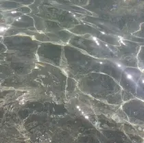 TRU あみのプロフィール画像